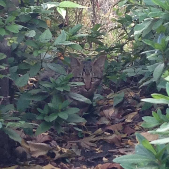 A696fe42 421b 4232 bed5 967a911d8044 1510820218669