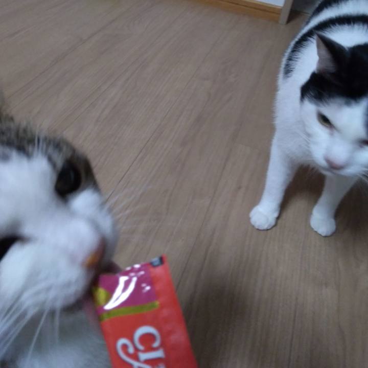 A6971219 1c24 4b0f 8a3d f70beda091d2 1537796514958