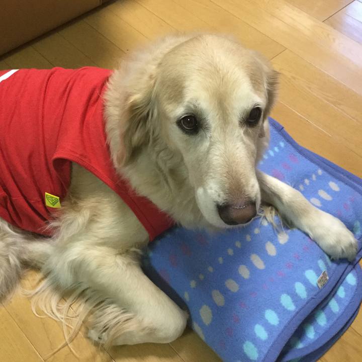 A6978c29 8e7e 408d a89b dce161b57270 1546408696774