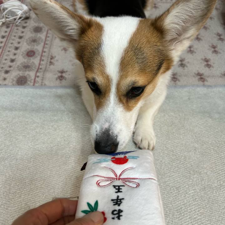 A697b3bd 3294 4529 b1b0 3115227c04da 1767265265051