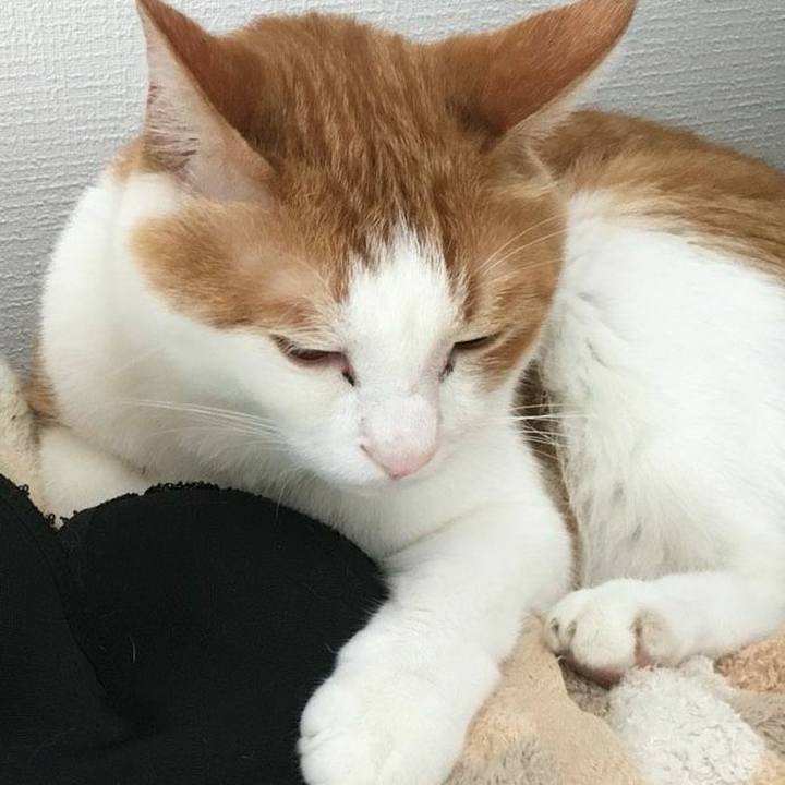 A697c107 111d 4a2c a8ca 939582133416 1535065801802