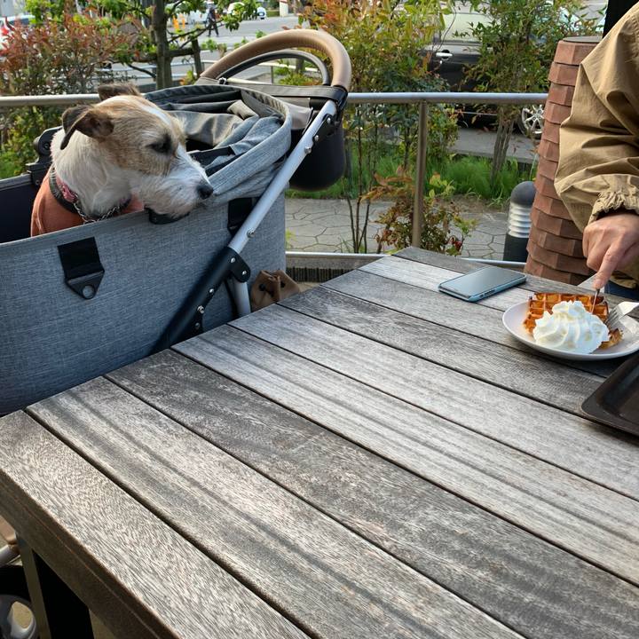 A69874b8 d1c8 4b4b abd2 f8d6d6793e56 1619398811414