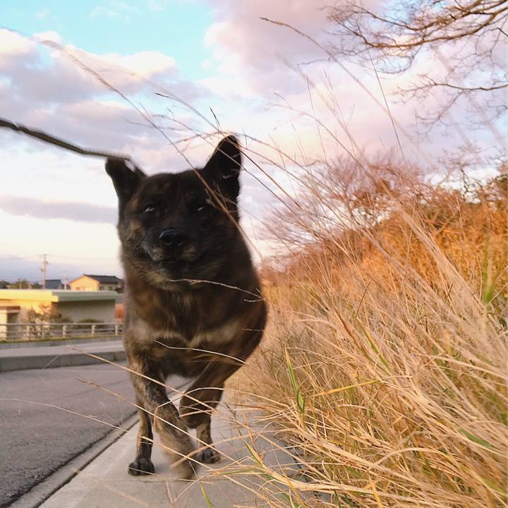 A6989614 6546 43a1 8c97 253d32bfeaa8 1545464303756