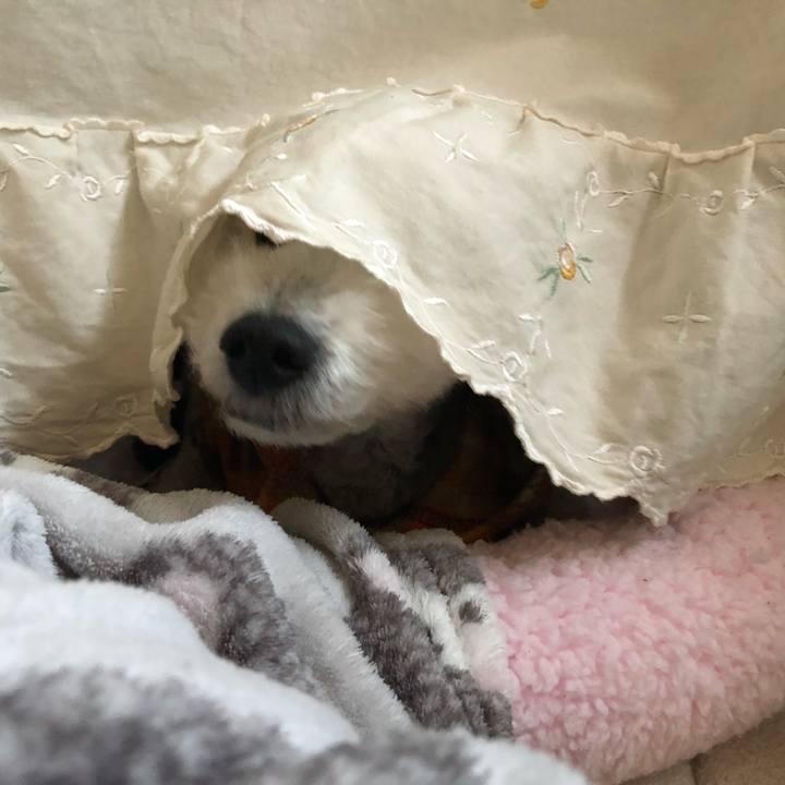 A6989e39 0795 4a25 825d fe57f56a9682 1666917862764