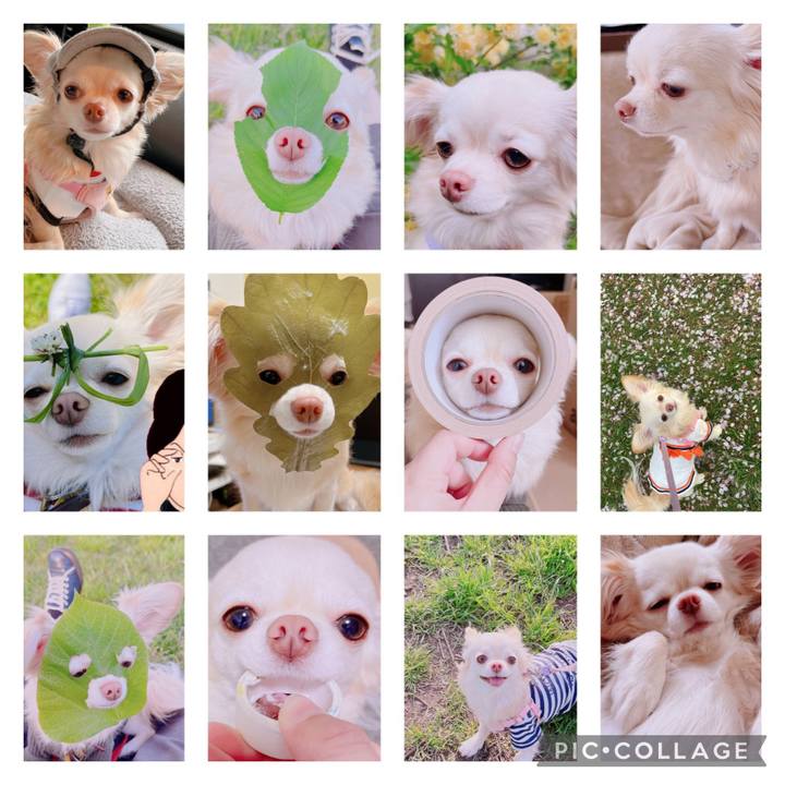 A698b0f0 4015 49bf 8049 d398dc061c5a 1697251448497