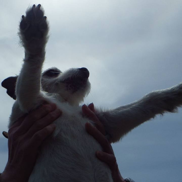 A698b832 a710 4267 9667 5b5b6d5b5074 1708342937075