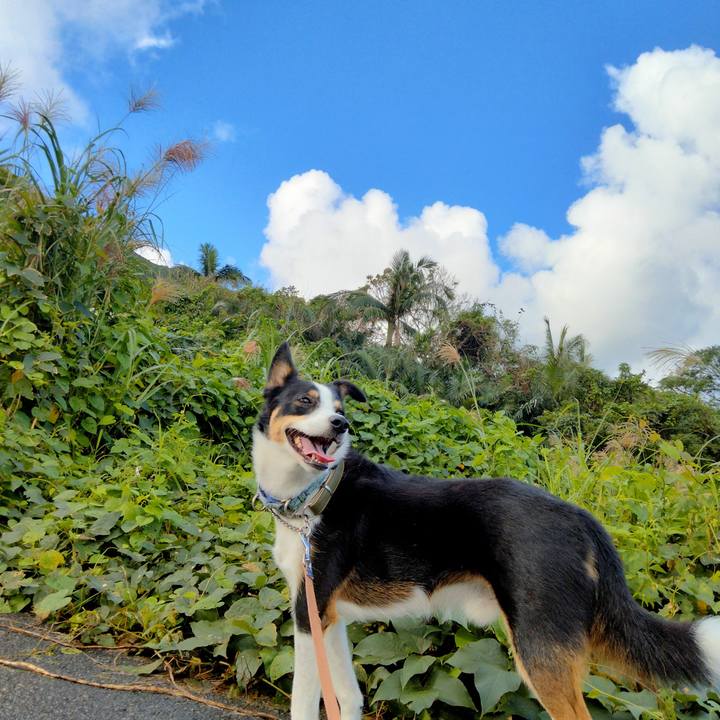 A698c2c7 52ec 468c 8c78 9109b9ea72ae 1668265060133