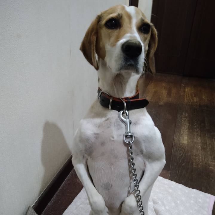 A698d4fc 57a7 46f9 a051 b509d8ac8b26 1633000035399