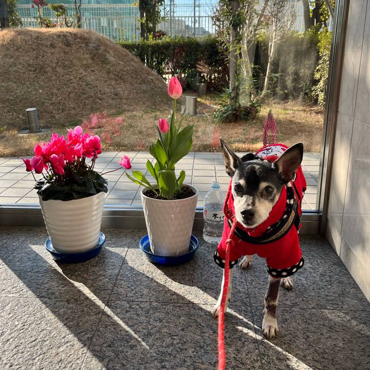 A698d983 8fb3 4e72 8b01 2e25c99ba307 1644568629864