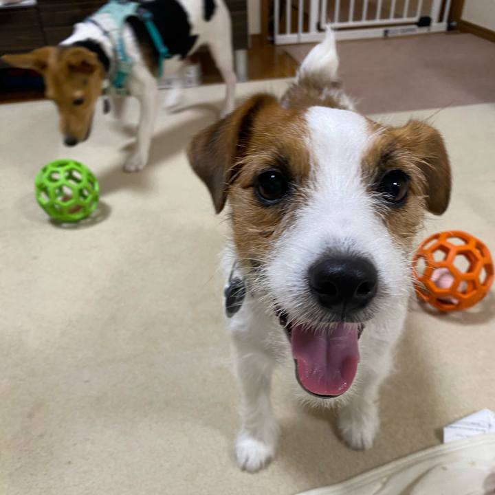 A6990ce4 51c4 41d1 9d8c bbefb58ecef1 1754308126433