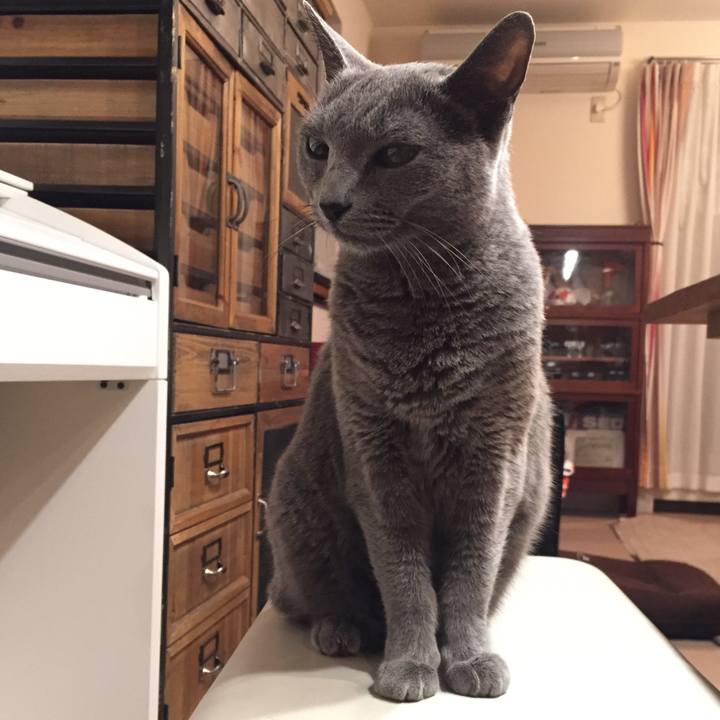 A699223a 9267 4220 9f76 b2fea4760129 1543187294139