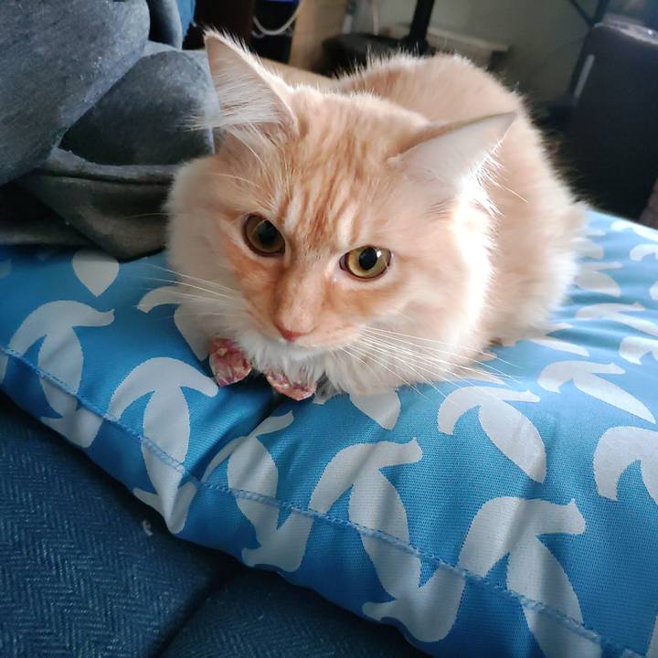 A6993e70 25f4 45d6 a001 519142241f59 1701910830793