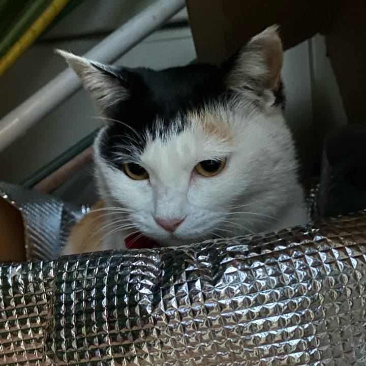 A6994f14 d615 45c5 ab80 a277aa4940e6 1639695926511