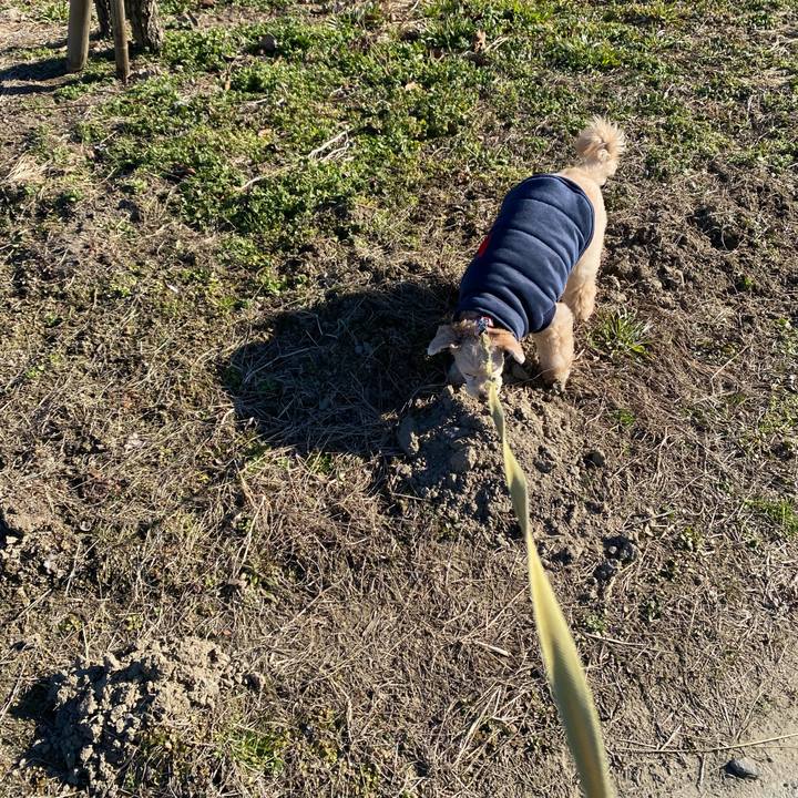 A69960a4 484a 4caa 8fb3 97dc1b2fa4c1 1612857904926