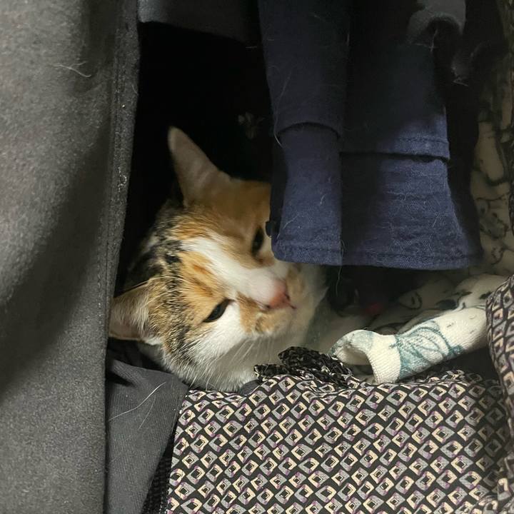 A699ccf5 b869 4d14 bc81 e299a154d223 1672748420671