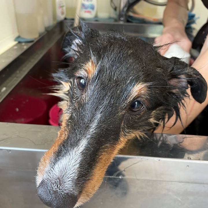 A699e8de 6b0a 4e56 b1ee 069d340f1d51 1631327769962