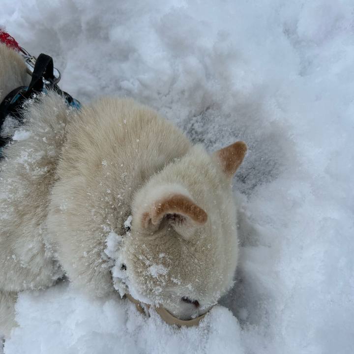 A699f470 73aa 4876 ac49 80ba9342369a 1773182604650