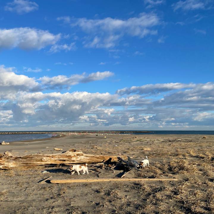 A69a0143 08ff 4beb b0d5 bfdbefe4b104 1637106191794