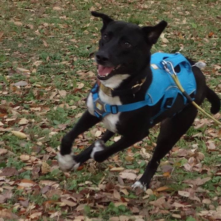 A69a02c7 2244 4d5a 8b12 a462f981f329 1605831177953