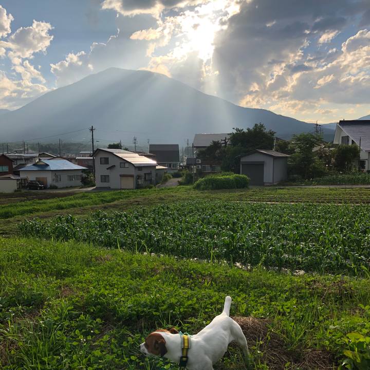 A69a1983 9994 4d43 a1ae 4a797acfeccd 1530521459449