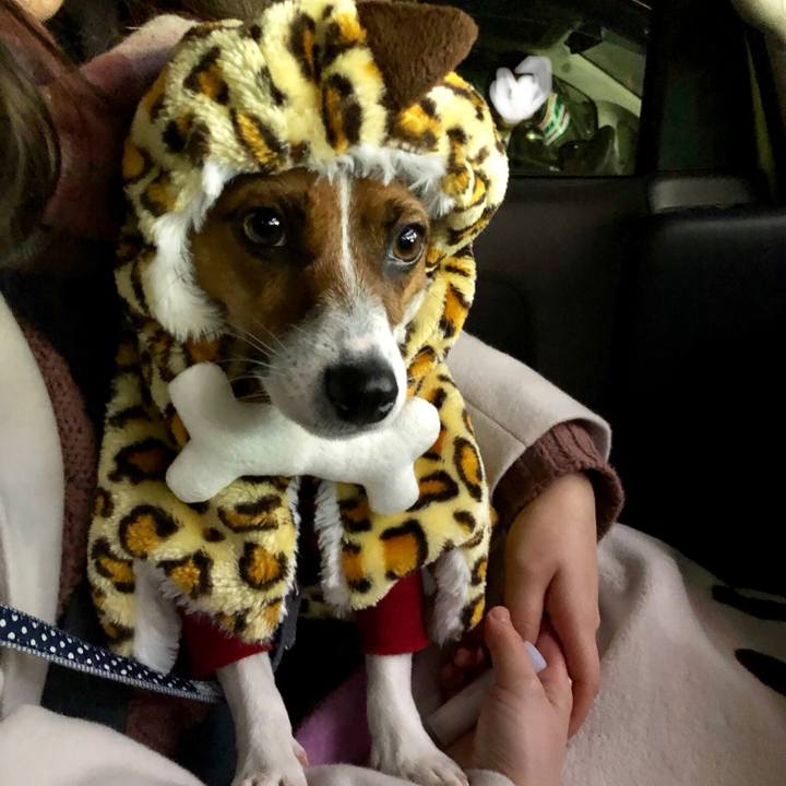 A69a42ff cc9b 4d52 9db4 269426745783 1546063209197