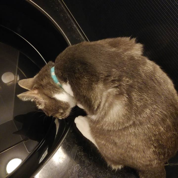 A69a561a c424 4a9d 8f73 565ec6f5b9ae 1589465058365