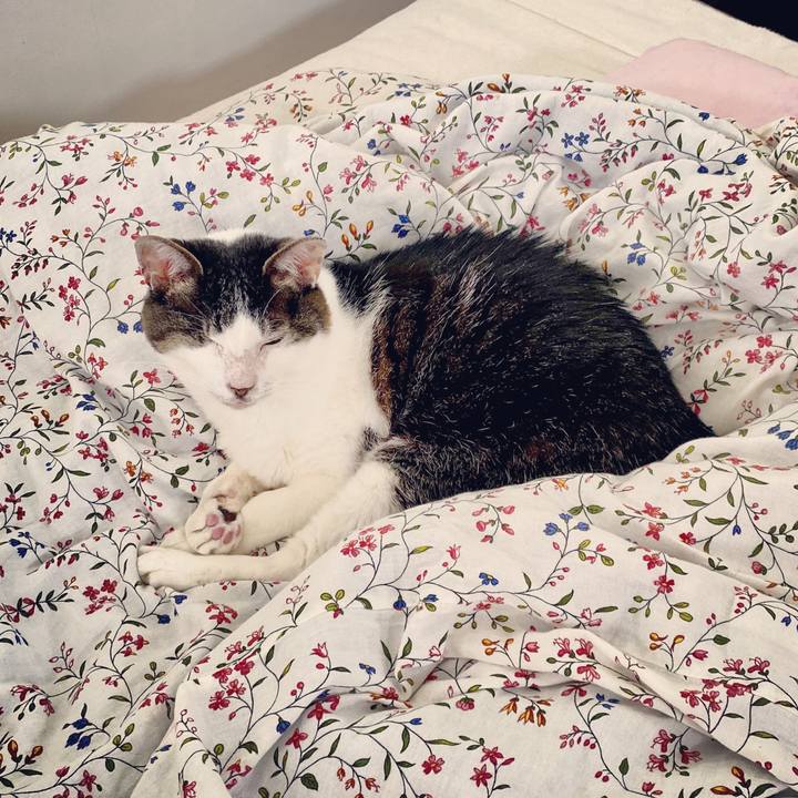 A69a7516 8ea2 4a65 a376 7cb39b9edcaf 1592706932872