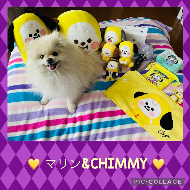 A69a9e31 9a16 4b95 9e1e a32cb785e528 1646695261443