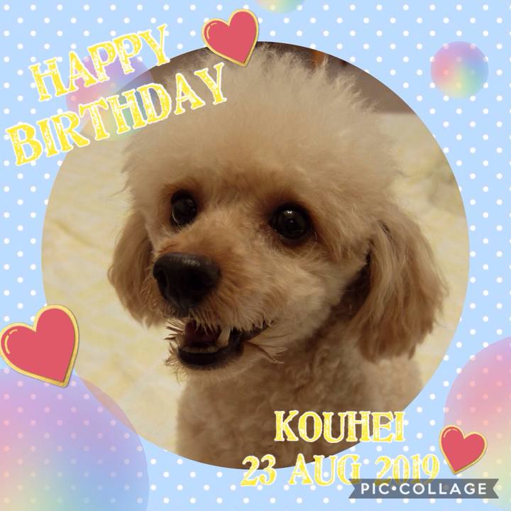 A69aa354 e82f 4876 8b98 b52fbd6f394a 1566559207402