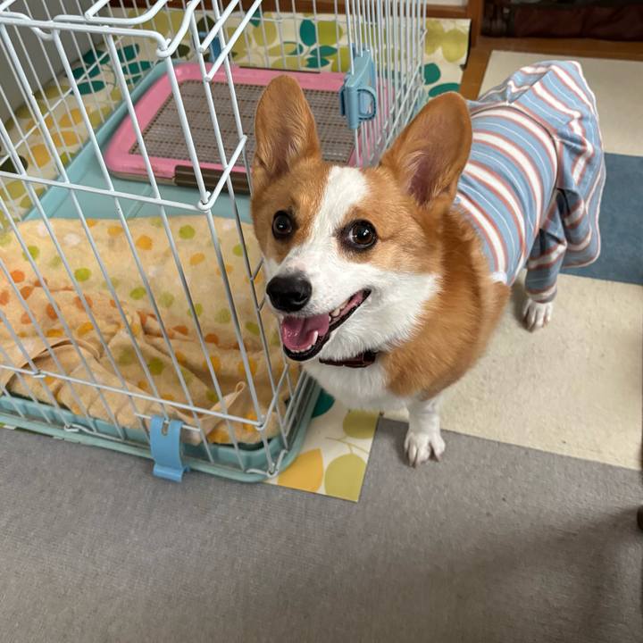 A69ad86b d5b2 44b4 8cc6 357597ba22e7 1757639485803