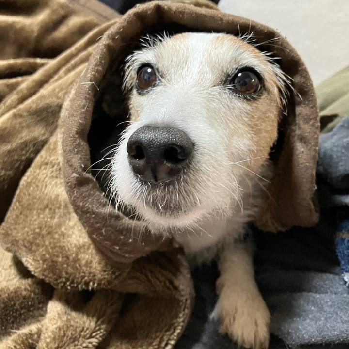 A69ae28c 6dcf 4ad3 af97 cc33f3fa2525 1704675952560