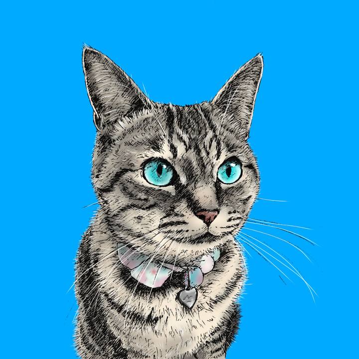 A69b25b9 2ae0 4eb3 82ad f21172aaec7d 1599056232176