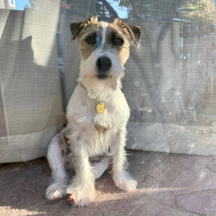 A69b3501 1b0f 44a7 b256 30f4edcdd1d3 1605360582342