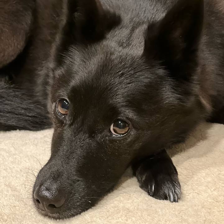 A69b37d8 4375 4fc8 a7e2 e0c41a10a93e 1634912606566