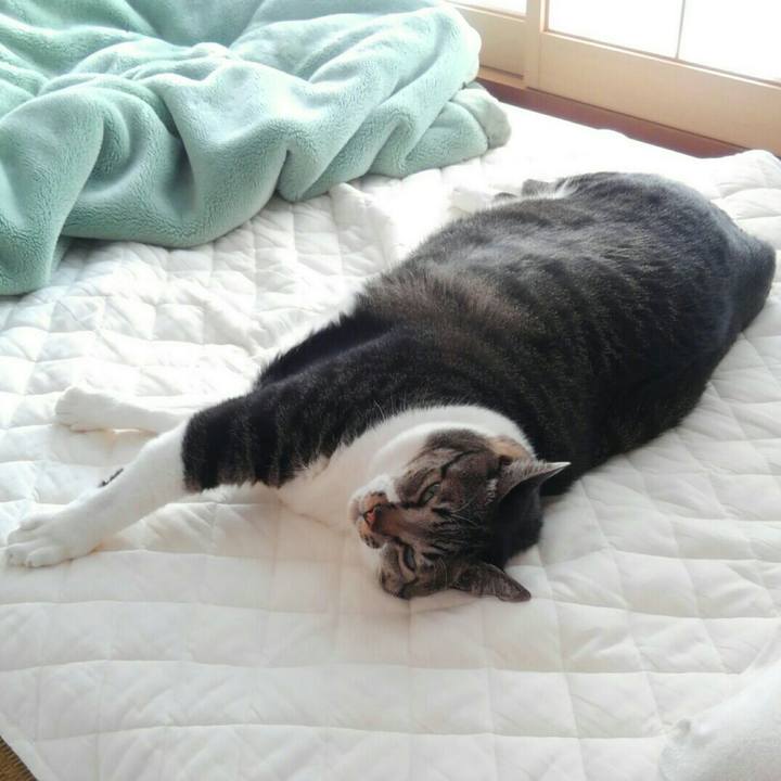 A69baf10 88eb 4478 b500 6f8e626da51a 1515021769390