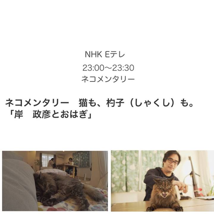 A69bd8a2 1883 4934 8b54 4fe779425160 1550444278844