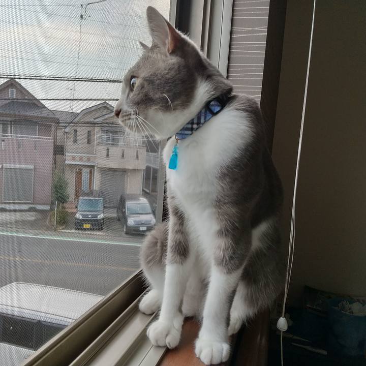 A69c057d ff9a 4465 a565 abbed25b23bd 1596924792721