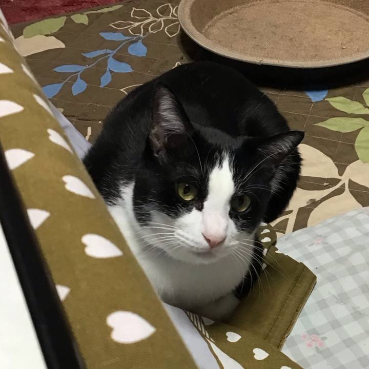 A69c48ca 7fc5 4ddc baba 1880b2d25ce7 1732592061840