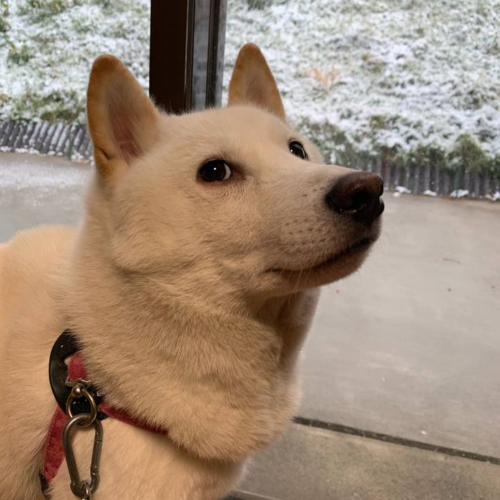 A69c4fe9 9bd5 4b8f a204 c14a26334b53 1573167687394