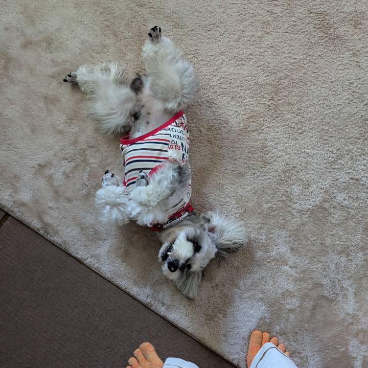 A69c742c 3841 43bf bace 37919b5470fa 1759711325344