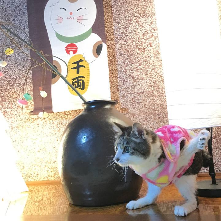 A69cea25 7f2f 46d0 af99 c3583d39a2bc 1767219875981