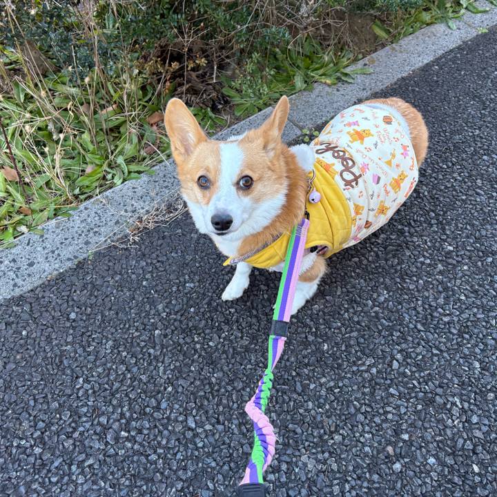 A69d046d 1f64 48be 8e1d e752998cdbf5 1768277260432