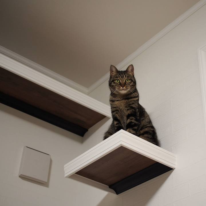 A69d0801 72d9 4156 8806 f92c4d59f447 1548244053082