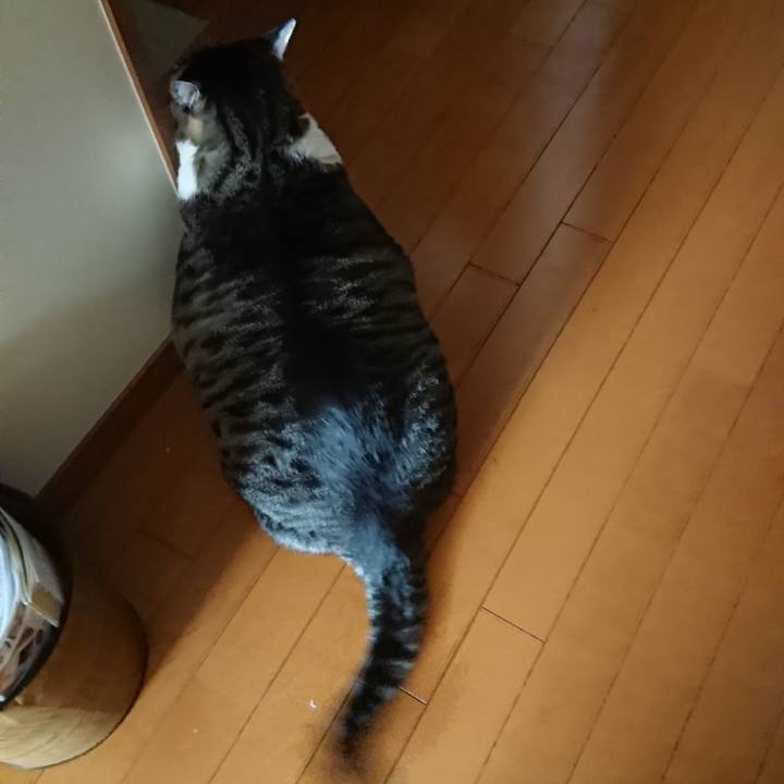 A69d23aa d051 4aa9 bd67 8114faf03082 1579132195737