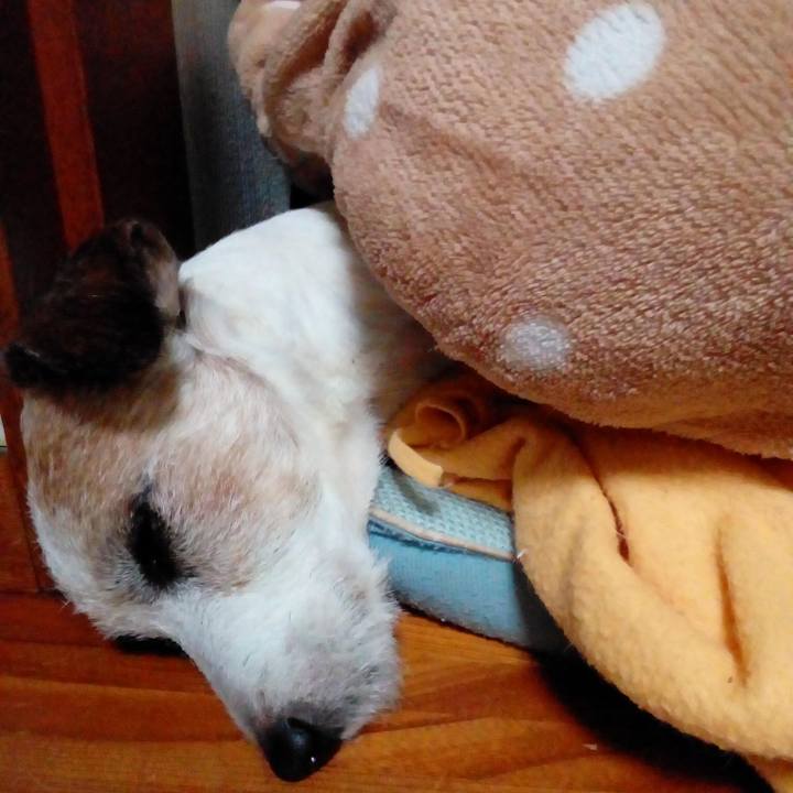 A69d3b8c 9980 4b7d 8065 dfb7d0c4920e 1575289362625