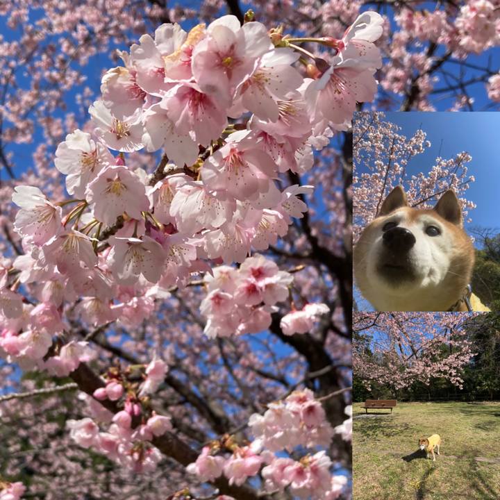 A69d3cb7 3886 47d3 a1f9 412b5bacb9ce 1773286674989