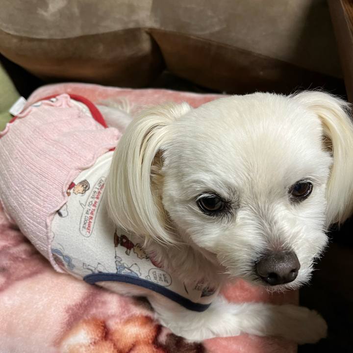 A69d4384 ea0f 46fb 84f2 0a3bccbee585 1680003881333