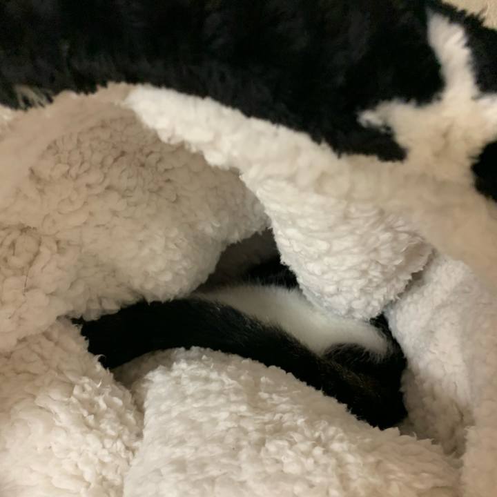 A69d7190 4123 4afd b712 60da1eb34860 1573377800737