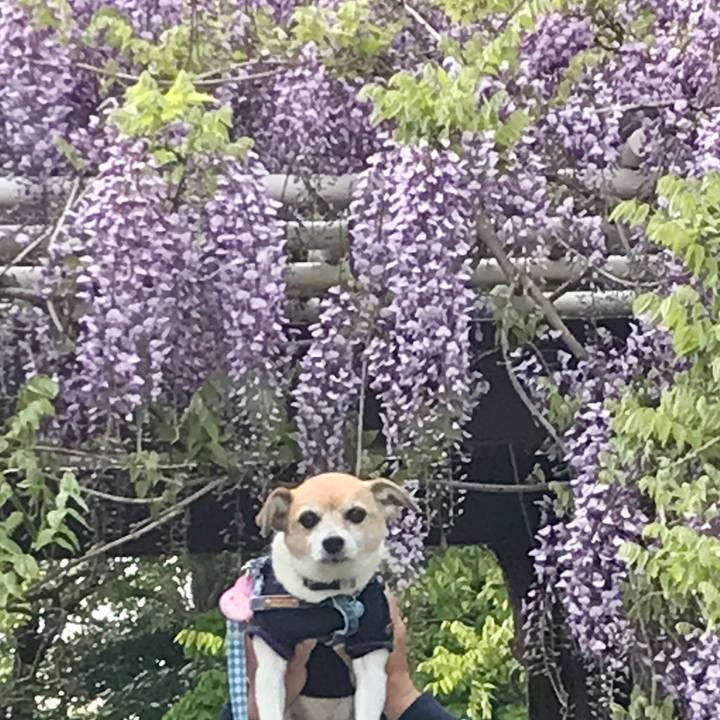 A69db771 ff66 4e81 b1d2 14693e938413 1650240047484