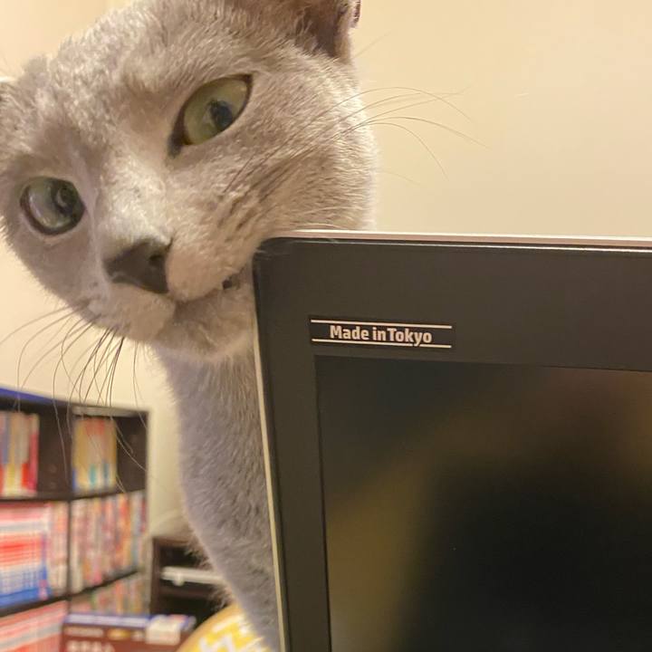 A69db7c8 db88 480e 84f9 b7ec8319a17e 1642736272250